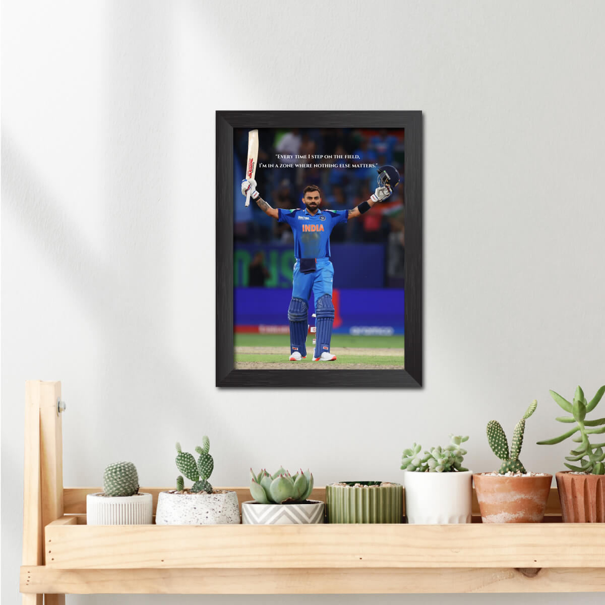 India Cricket Frames