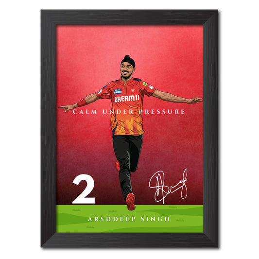 Arshdeep Singh Punjab T20 Cricket Team Poster Framed Painting