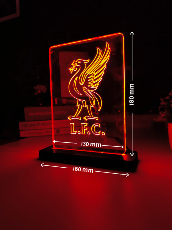 Liverpool River Bird Acrylic Led Lamp - Image 5