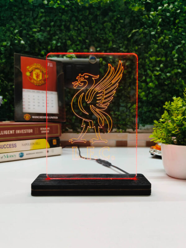 Liverpool River Bird Acrylic Led Lamp - Image 2