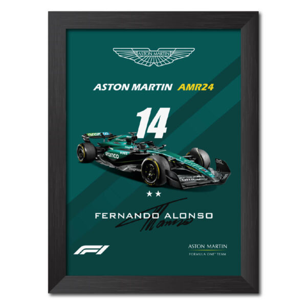 Fernando Alonso F1 Racing Car Aston Martin AMR 24 Poster Painting