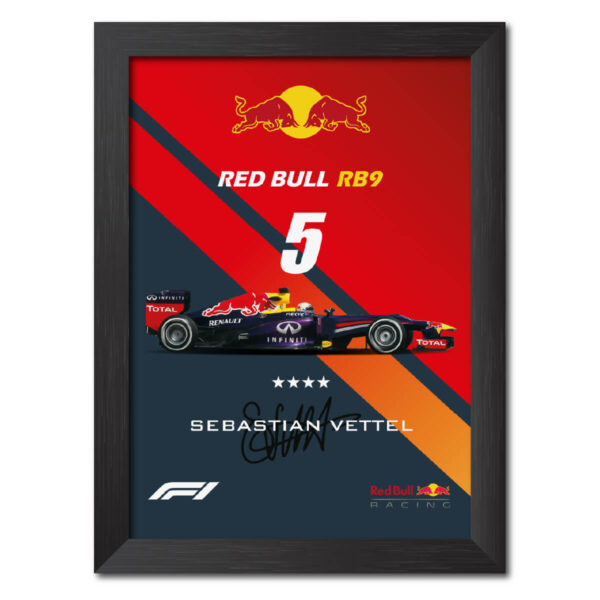 Sebastian Vettel F1 Racing Car Redbull RB9 2013 edition Poster Painting